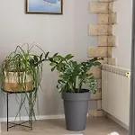 Bonaca